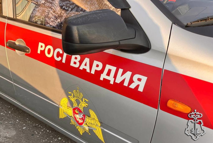 Барун-Хемчикские росгвардейцы задержали совершившую обманный перевод женщину