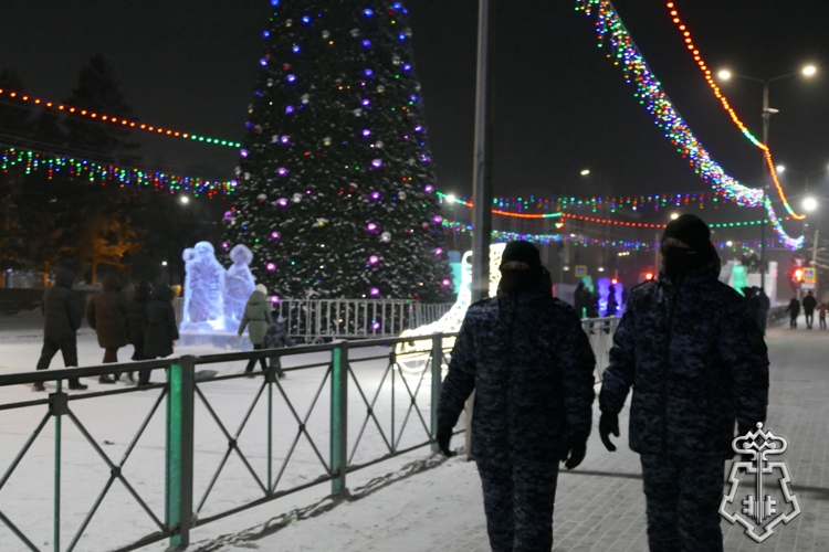 Росгвардия обеспечила правопорядок в новогоднюю ночь в Туве
