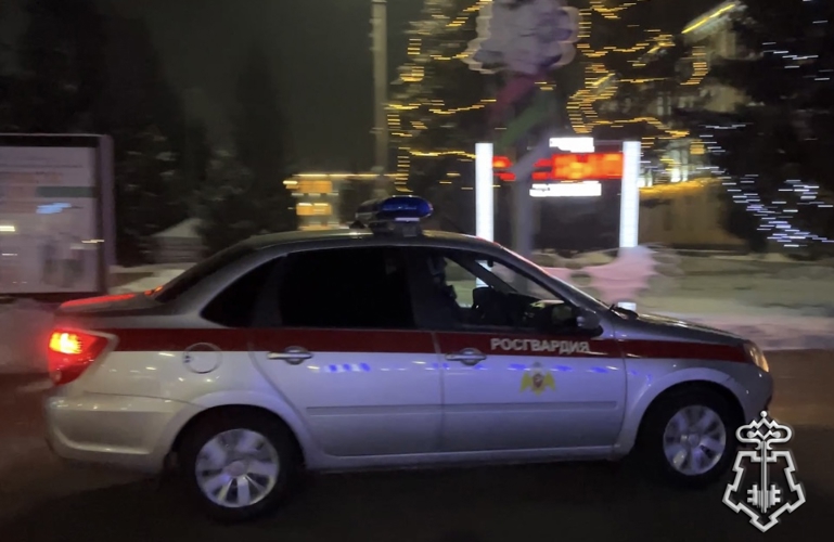 Росвардейцы Тувы за сутки задержали двух разыскиваемых граждан 