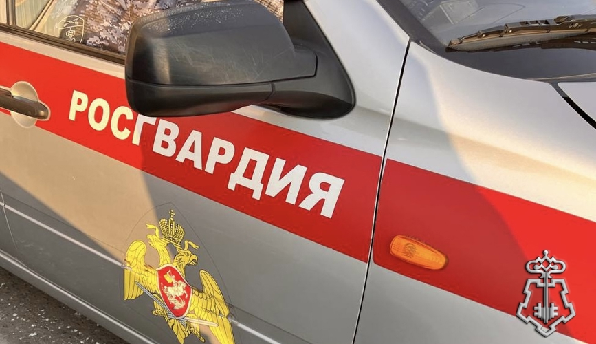 Росгвардейцы Тувы за сутки задержали двух граждан, подозреваемых в умышленном причинении тяжкого здоровья потерпевшим