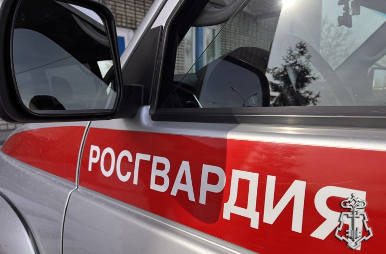 Росгвардейцы за сутки задержали подозреваемого в убийстве