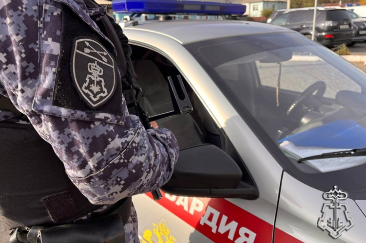 В Туве наряды Росгвардии за сутки задержали двух лиц, разыскиваемых правоохранительными органами