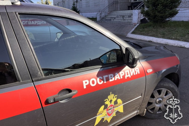 Вневедомственная охрана Тувы проверила свыше двухсот пятидесяти объектов на антитеррористическую защищенность за 8 месяцев 2026 года 