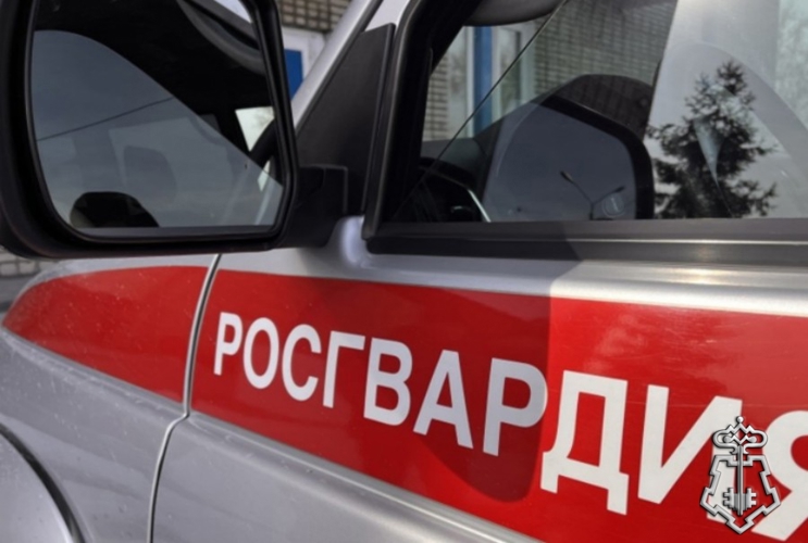 В Туве росгвардейцы задержали  разыскиваемую за кражу местную жительницу