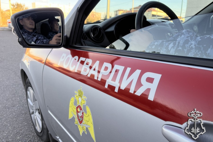 В Туве росгвардейцы отговорили местную жительницу от совершения необдуманного шага