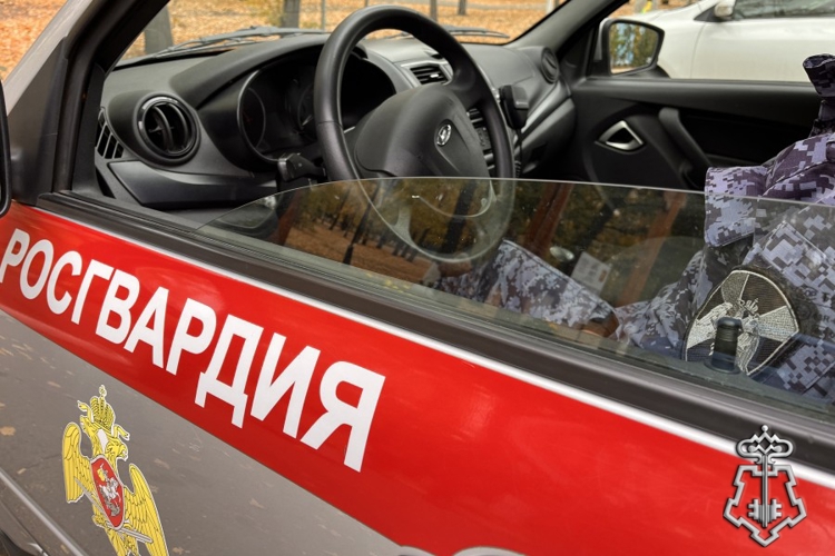 В Туве росгвардейцы задержали причинившего тяжкий вред мужчину